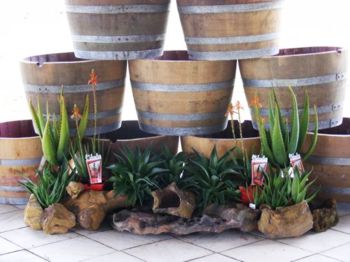 Half Barrels Make Great Planter Pots