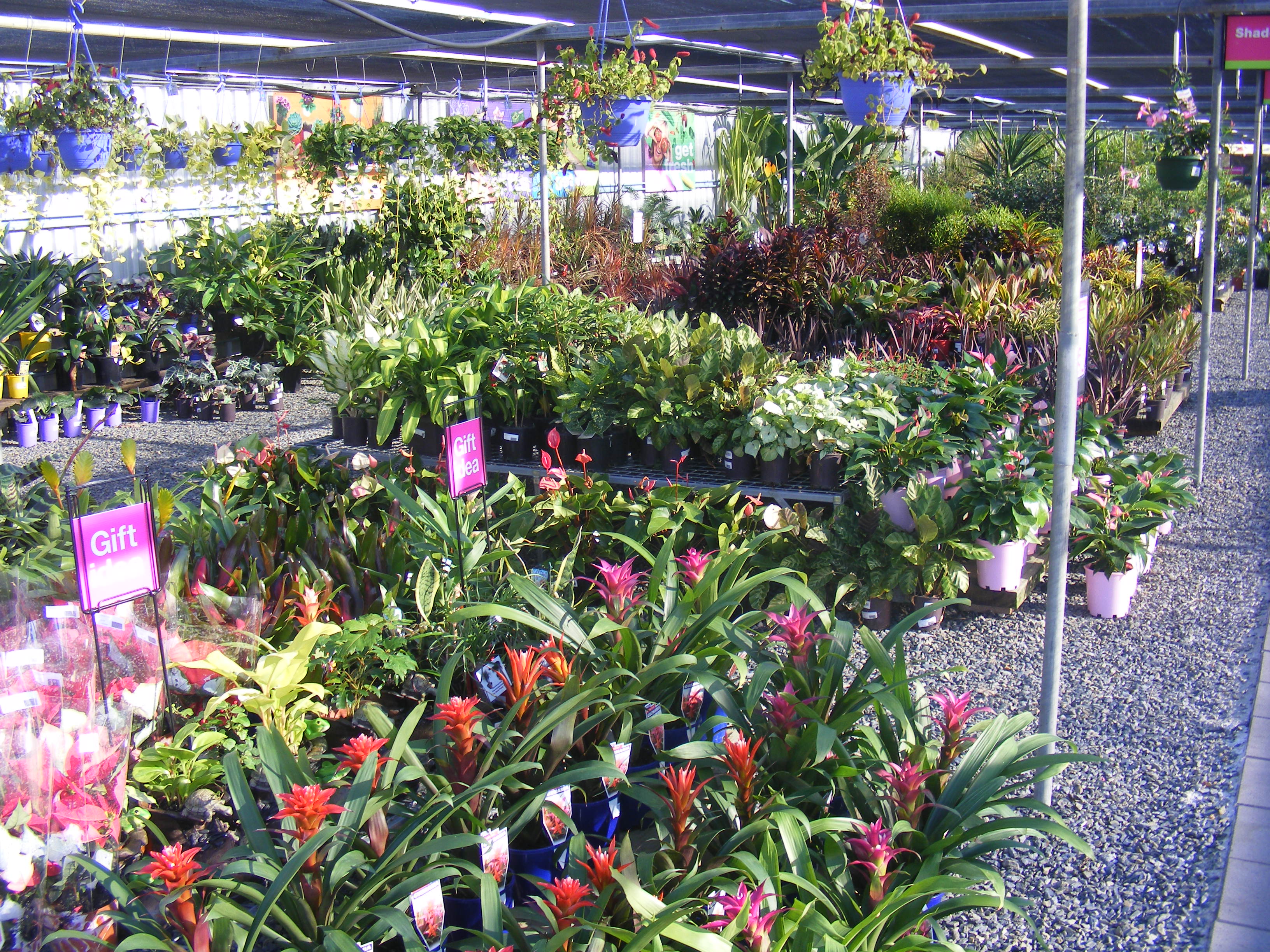 Tanby Garden Centre Plants Turf Landscaping Giftware