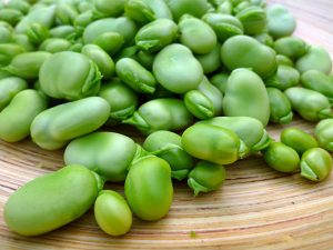 broad beans