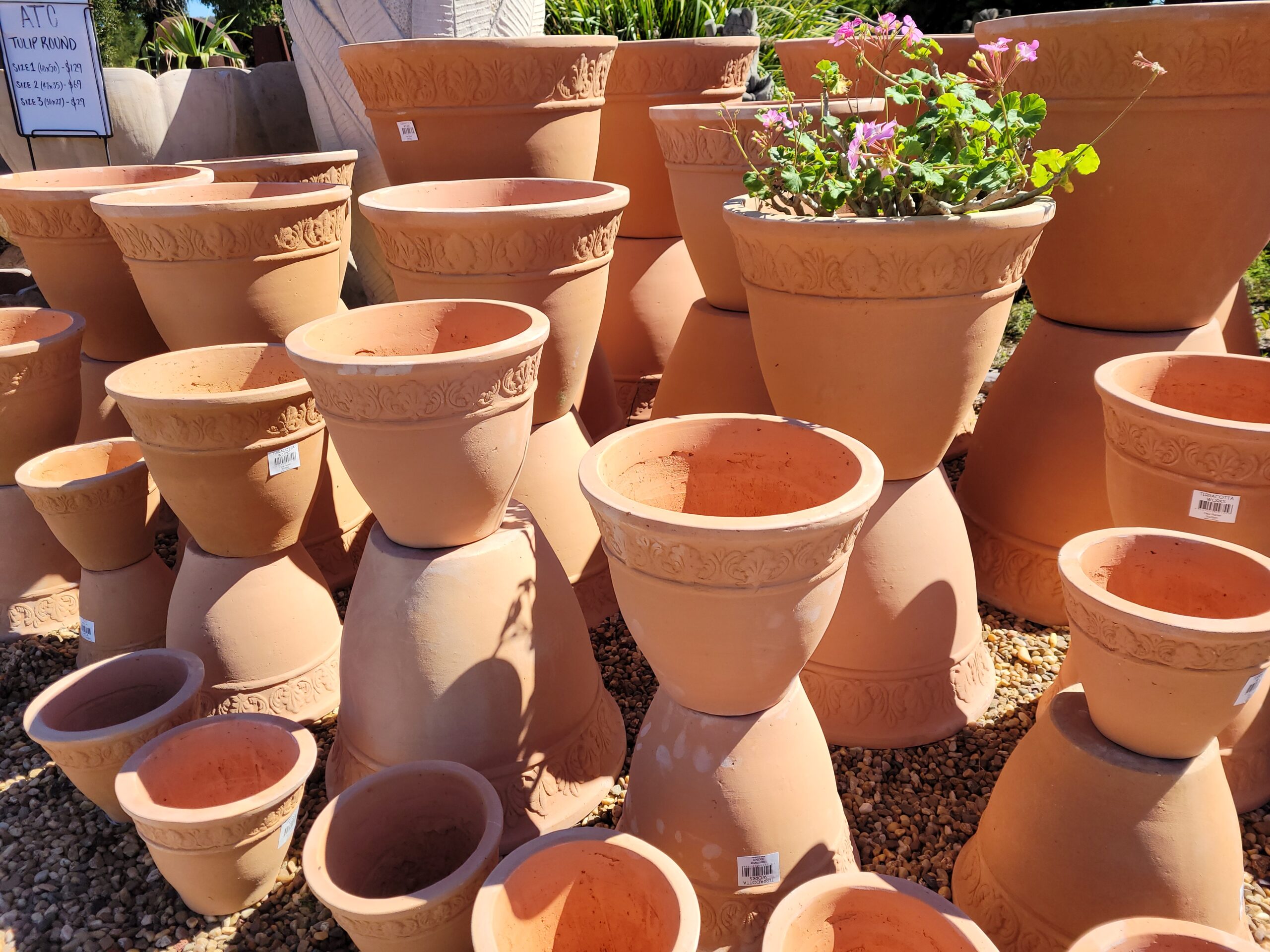 fleur planter terracotta pots